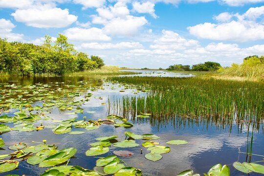 Tour image 6