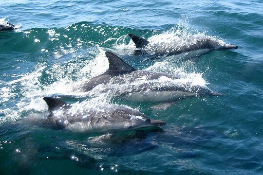 Tour image 10